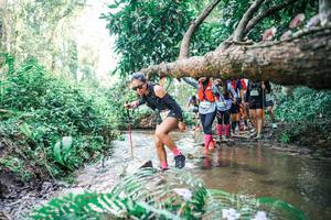 BIB: 
                            <button type="button" onclick="openModal(25475906)" class="btn btn-primary btn-sm float-right btn-popup" data-toggle="modal" data-target=".modal-high-quality">
                        <i class="fas fa-shopping-cart"></i> Add to Cart
                    </button>
                                            <button type="button" onclick="isThisMe(25475906, true)" class="btn btn-success btn-sm float-right btn-popup btn-isme hidden" data-toggle="tooltip" data-placement="bottom" title="นี่คือรูปของคุณใช่ไหม คลิกที่นี่เพื่อเอาเข้าอัลบั้ม">
                        <i class="fas fa-plus"></i> Add to album
                    </button>
                    <button type="button" onclick="isThisMe(25475906, false)" class="btn btn-warning btn-sm float-right btn-popup btn-isnotme hidden">
                        <i class="fas fa-ban"></i> Remove from album
                    </button>